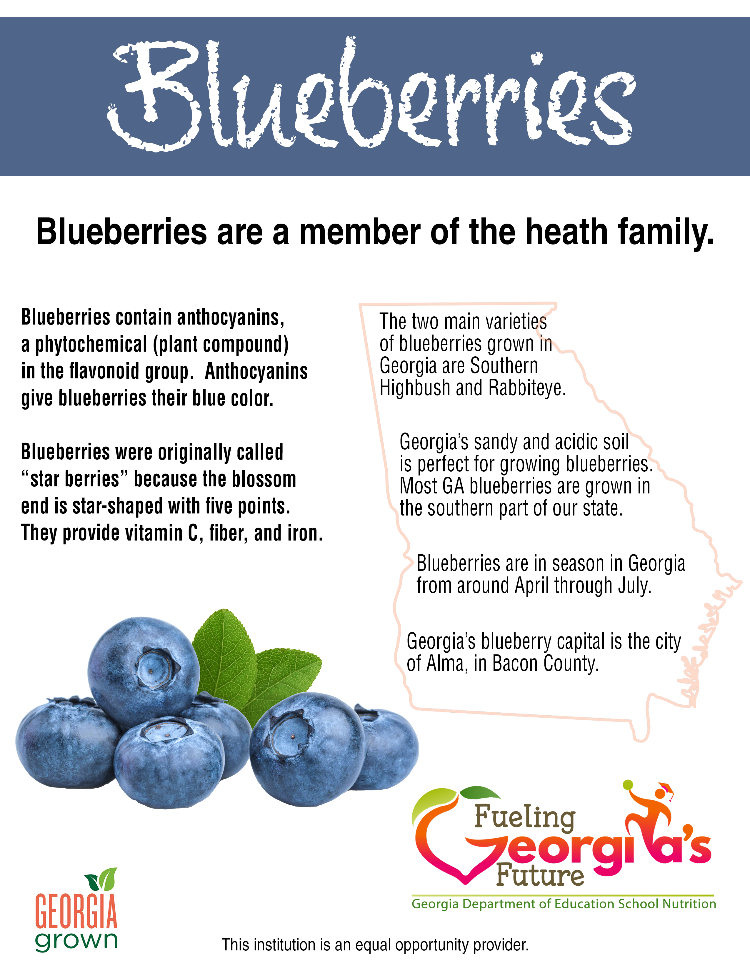 Blueberries Fact Sheet